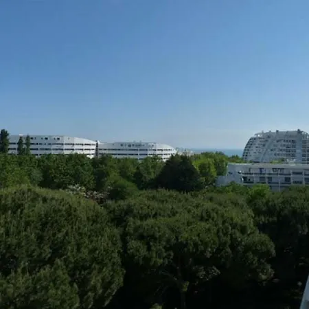 2 Pieces Avec Garage, A 300m De La Plage, 6 Personnes, Motte - Fr-1-328-138 * La Grande-Motte